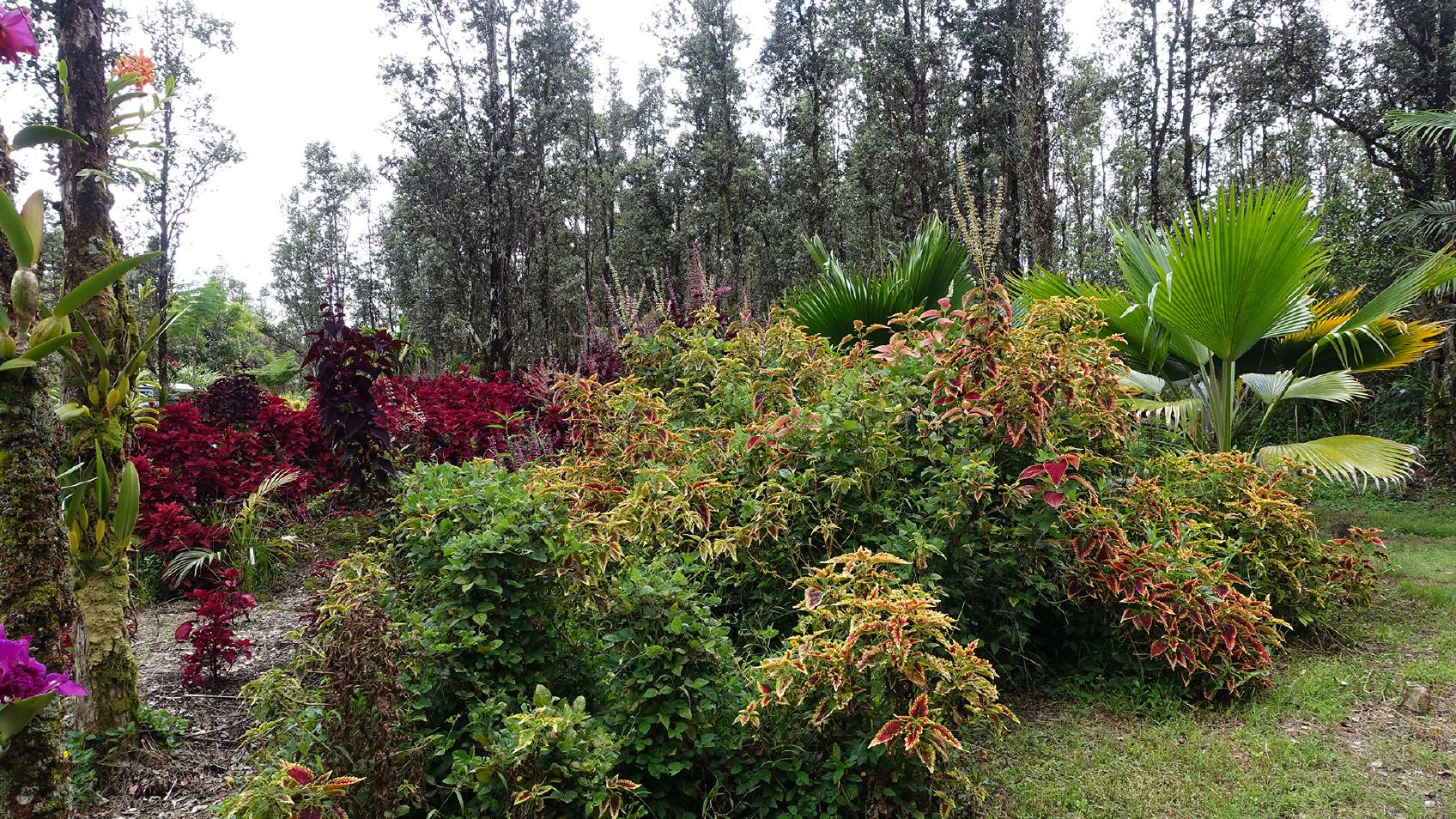 Another Garden Vista