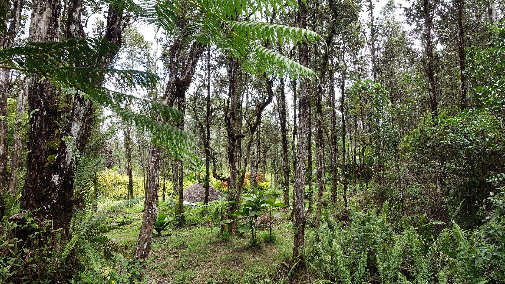 Garden Vista